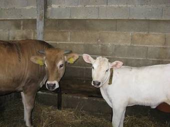 Bed & Breakfast Agriturismo Vocabolo Palazzo