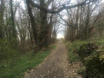 Apartamento Lyon Campagne