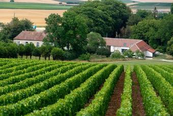 Bed & Breakfast L' Ecrin Des Vignes