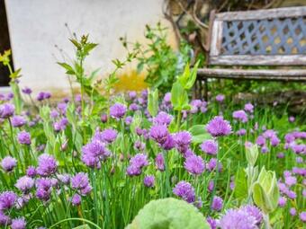 Luxurious Holiday Home In Teilhet With Garden