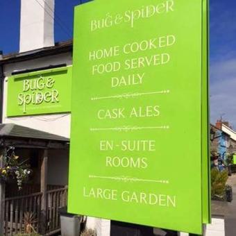 Posada The Bug And Spider