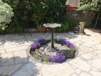 Leigh Holt, Shepton Mallet