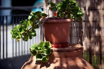 Bed & Breakfast Skourgias Rooms