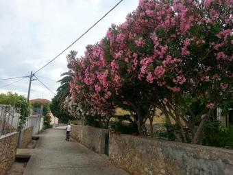 Apartamento Bu?ketini Dvori