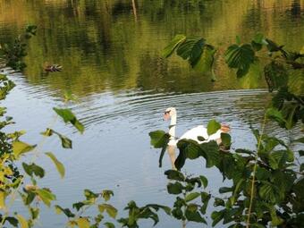 Bed & Breakfast Green Eden