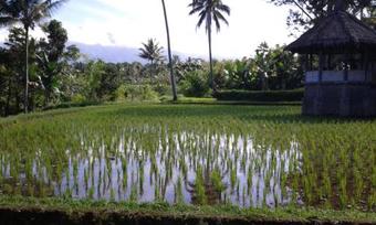 Posada Hakiki Inn Bungalows