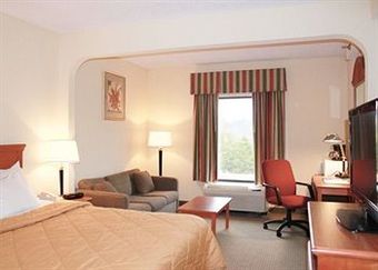Hotel Comfort Inn Altavista Lynchburg South