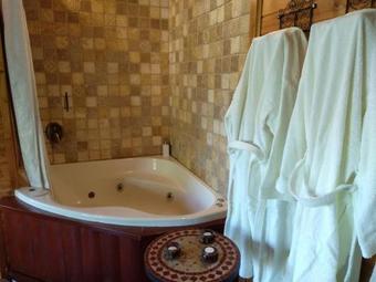 Lodge Live In The Woods