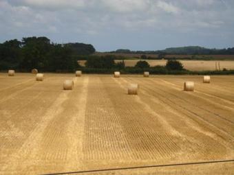 Bed & Breakfast Keepers Cottage Guest House