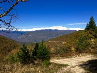 Hostal Guest House Mtashi House