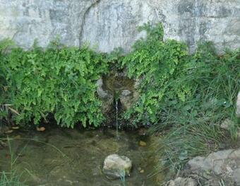 Traditional Stonehouse