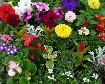 Apartamento Mad�csi Vend�gh�z