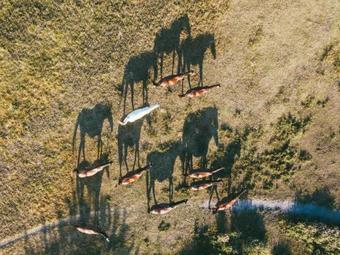 Homoki Lodge - Boutique Hotel