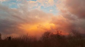 Hostal Vekeri Forest Vend�gh�z