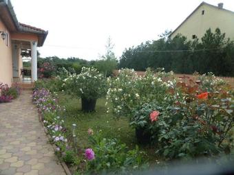 Hostal Liget Panzi�