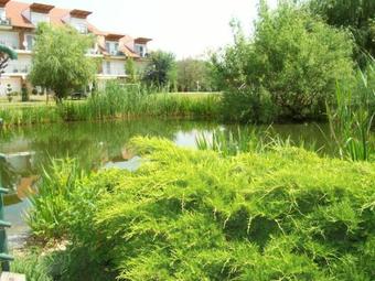 Cserke Napf�ny Apartman