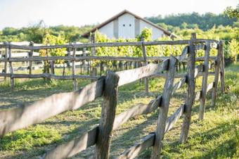 Hotel Provence Birtok