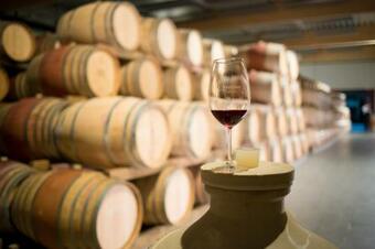 Hotel Kristinus Vinotel