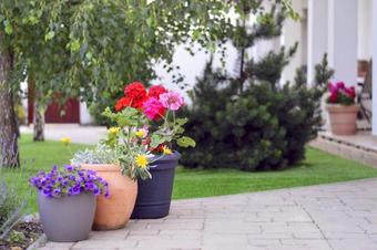 Hostal J�szber�ny Boutique Room