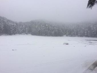 Hotel Island Pahalgam