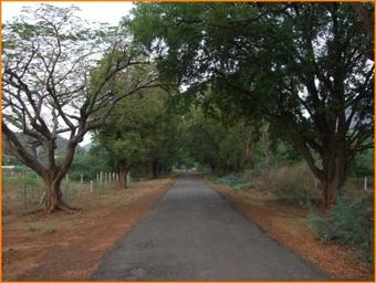 Sruthi Homestay, Agali