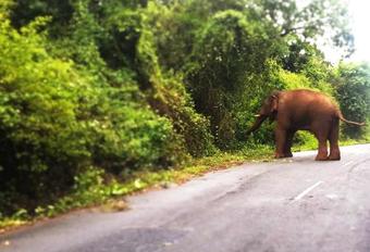 Apartamento Highland - Anaikatti