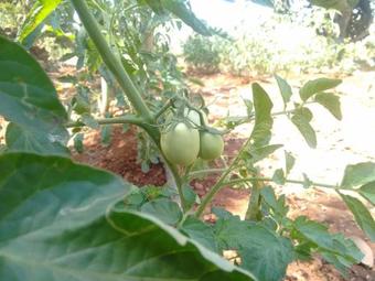 Agroturismo Megh Malhar