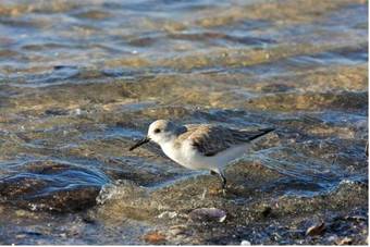 Hostal Casas E Quintas De Praia