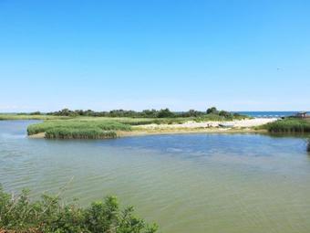 Apartamento Locazione Turistica Casa Bertilla (anp100)