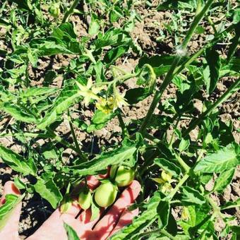 Agroturismo Tenuta Lanza Il Mulino