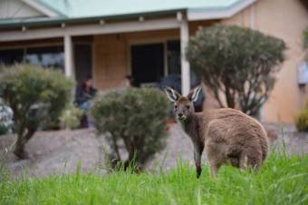 Hotel Willy Bay Resort