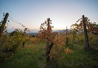 Bed & Breakfast Oinoe La Citt� Del Vino