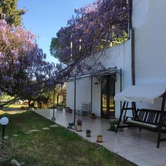 Agroturismo B&B Apricot