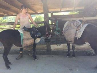 Agroturismo Valli Unite