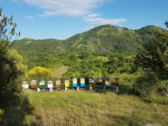Agroturismo La Luna Nel Pozzo