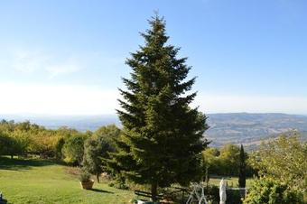 Holiday Home In Castiglione D'orcia 24091