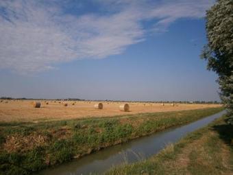 Agroturismo I Quarti