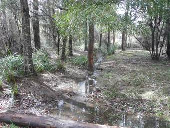 Lodge Taranna Cottages