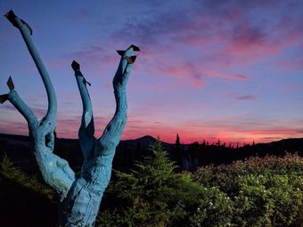 Hotel Golf Valcurone