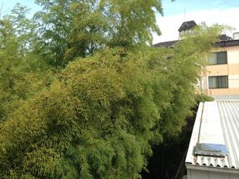 Hotel Yancha Na Koneko (adult Only)