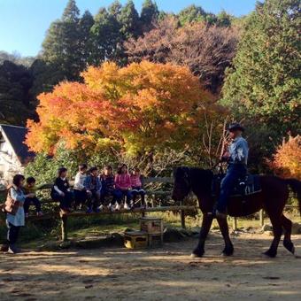 Agroturismo Dosanko Mira Farm (farm Stay)