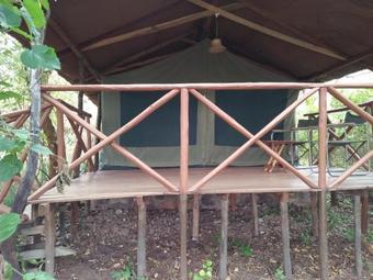 Crocodile Camp-masai Mara