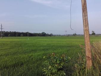 Cottage 145 - Female Hostel