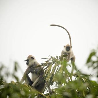 Hotel Casavana Sri Lanka