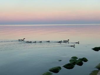 Apartamento Preilos Vasara