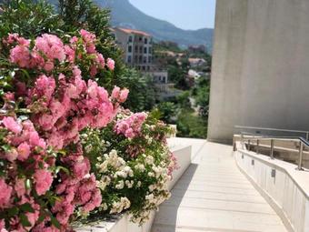 Apartment Buena Vista Resort