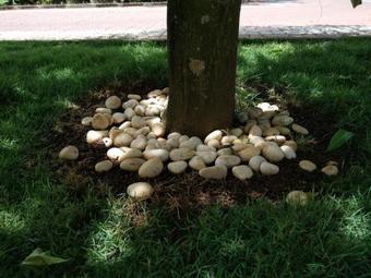 Agroturismo Harum Manis Country House