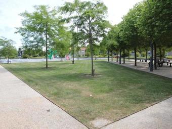 Modern Holiday Home In Sluis With A Garden