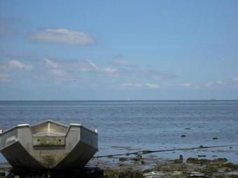 Carefully Furnished Chalet Near The Wadden Sea