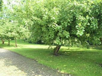 Spacious Apartment In Jelsum Near Town Centre